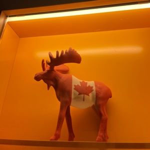 Meet your Posher, CP